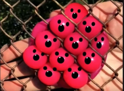 䳱(蜜雪冰城)的个人空间