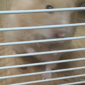 朵朵的个人空间