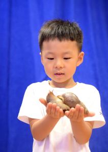 Henry Liu的个人空间