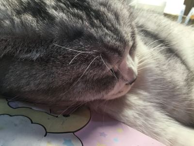 徐伊人的个人空间