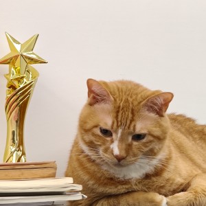 杰米音乐坊的个人空间