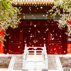 186****1788的个人空间