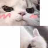 无辜的钢琴的个人空间