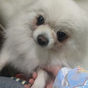 ◝‿◜的钢琴谱