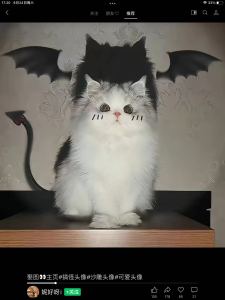 186****8682的钢琴谱