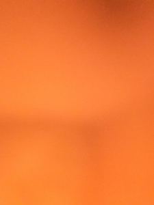 133****9934的个人空间