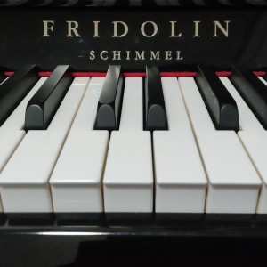 153****4924的个人空间