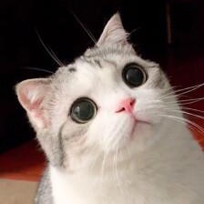 151****7824的个人空间