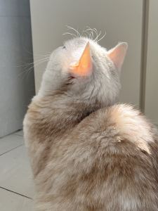 133****1329的个人空间