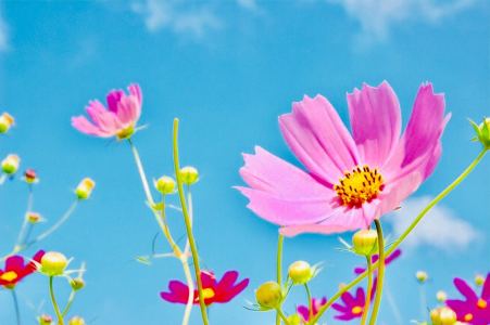 敖丙的个人空间