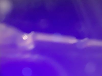 Timmy的个人空间