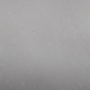 钟的演奏视频