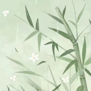 .青岚五绝踪.的钢琴谱