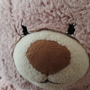 小仙女的个人空间