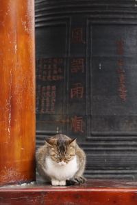 186****1210的钢琴谱