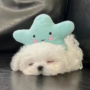 多吃点小汤圆的钢琴谱