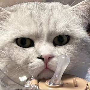 哪吒的个人空间