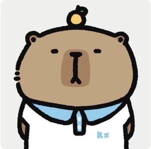 2.献给爱丽丝的演奏视频