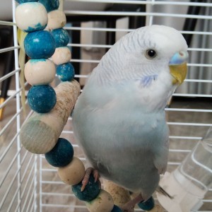 135****5046🎹🌸的个人空间