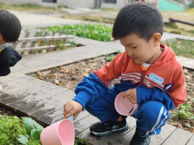 199****0626的钢琴谱