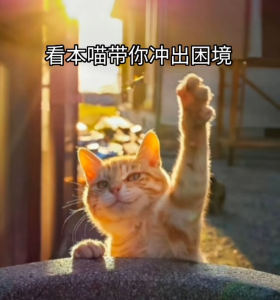 我要团宠(蜜雪冰城)的个人空间