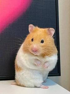 132****1984的个人空间