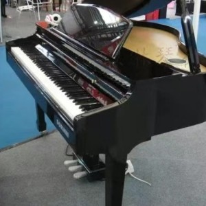 酷影钢琴曲的个人空间