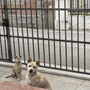 SYSTEM-VMware-lE的钢琴谱