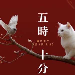 q luo的个人空间