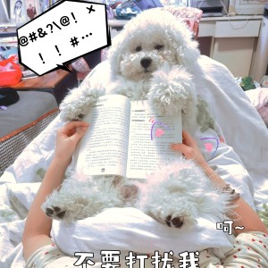 (｡･ω･｡)❤的钢琴谱