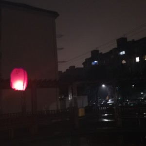 Yolanda的个人空间