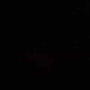 ----------------的钢琴谱