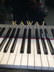 兜兜的个人空间