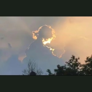 水蜜桃的个人空间