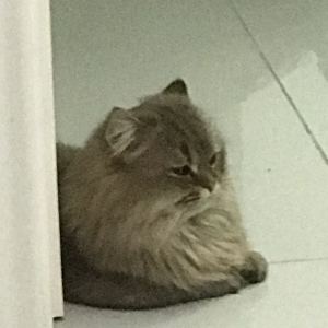 183****9028的个人空间