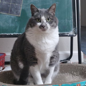 司司的个人空间