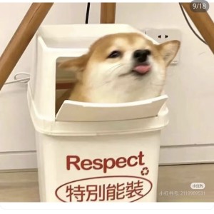 霏霏的钢琴谱