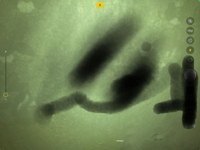 138****7661的钢琴谱