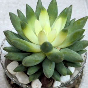 135****5921的個(gè)人空間