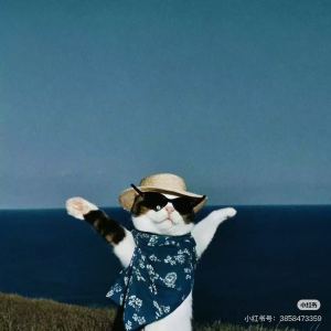 178****8409的个人空间