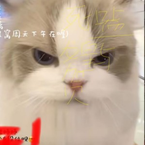 小浩子的个人空间