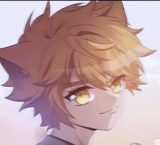 猫小九（猫兰兰）的钢琴谱