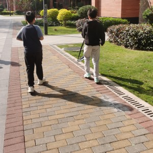 绽放的青春的个人空间