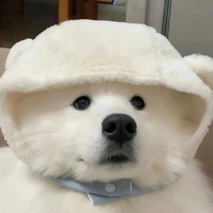 皮卡乒乓的钢琴谱