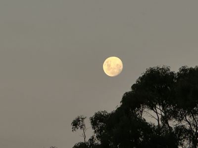 特别的人的演奏视频