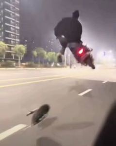 飞起来的钢琴谱