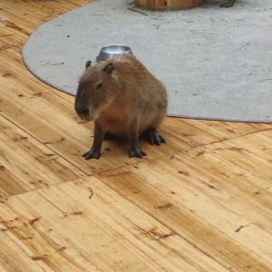 159****6398的个人空间