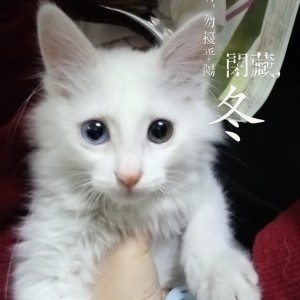 135****2192的个人空间