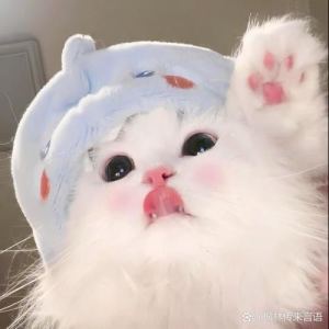 無枍的个人空间