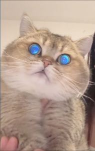 177****3476的钢琴谱